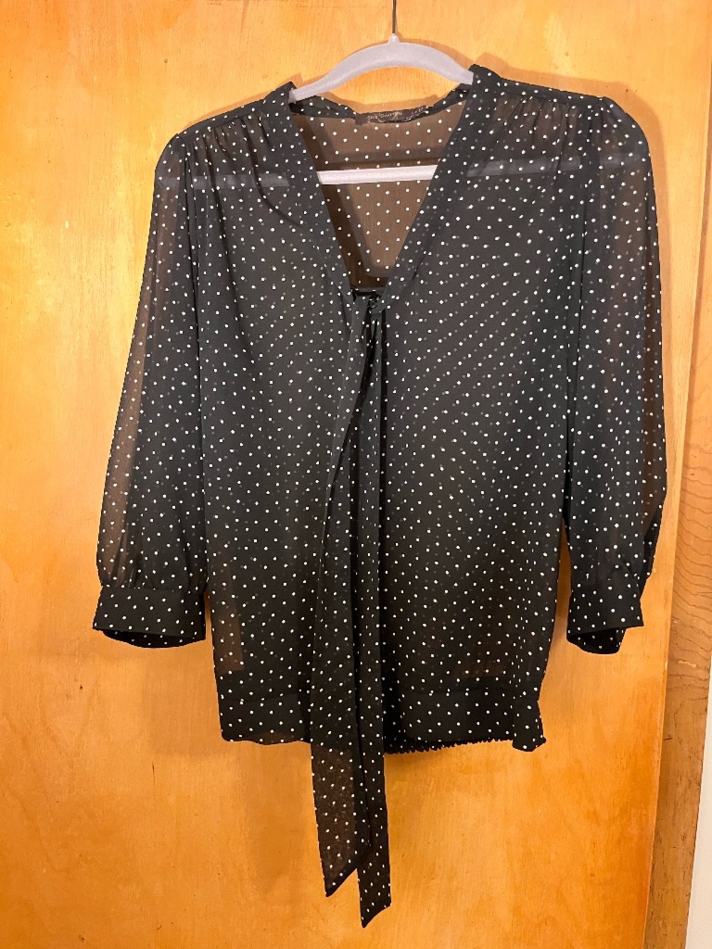 Sheer Blouse black and white polka dots